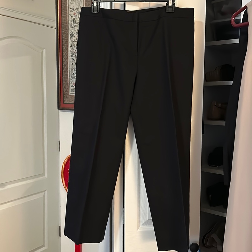 Sexy n Dressy Capri or Ankle Pant